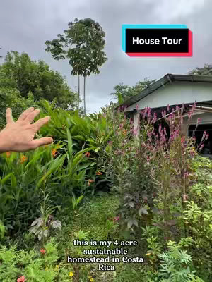 The cover image features a hand reaching towards the viewer, partially obscuring lush green plants. The background includes a house, greenery, and cloudy sky. A text overlay with the words 'House Tour' in a black and red rectangle.