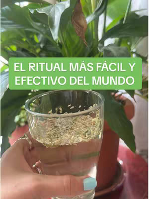 The cover image shows a hand holding a clear glass filled with liquid, likely water, and herbs. The glass is in focus against a background that includes green foliage and a partial view of a red pot. The text overlay is green and reads, "EL RITUAL MÁS FÁCIL Y EFECTIVO DEL MUNDO."