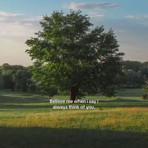 The cover image shows a tree in a field of grass. The tree is centered and takes up a good portion of the frame. It is green and lush, with a full canopy and a thick trunk. Behind the tree, there's a backdrop of trees and a blue sky with clouds. The field of grass in the foreground is a bright green, and the sun's light creates shadows in the grass. The text overlay is in the foreground, with a black font.