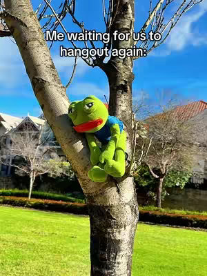 A green plush frog wearing a blue shirt is resting on the trunk of a tree. The background shows a bright blue sky, green grass, and houses in the distance. Above the frog is a text overlay.