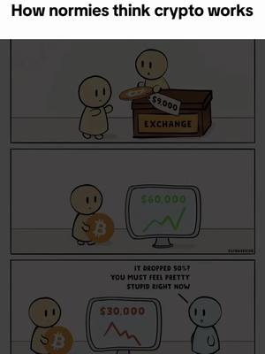 A three-panel comic strip depicting different scenarios of how crypto works. The first panel shows a cartoon character buying crypto from an exchange for $9,000. The second panel has the character looking at a graph showing $60,000 and the third panel showing the character looking at a graph showing $30,000.