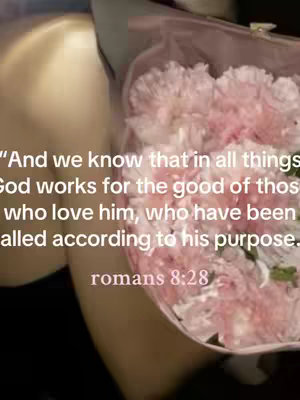 The image shows a close-up view of a bouquet of pink flowers, partially wrapped in clear, crinkled plastic. Text overlays are present, including a Bible verse and the word 'romans 8:28'. The background appears to be a tan or light-colored surface.