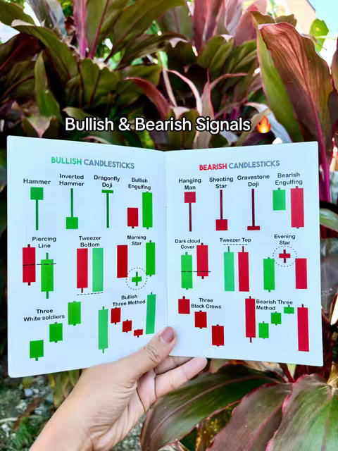 A spread open book revealing candlestick patterns, held in a hand against a background of green and red plants. The left side of the book lists bullish candlesticks, while the right side lists bearish candlesticks. "Bullish & Bearish Signals" is overlaid on the top. The colors of the book are white and primary colors like red and green.