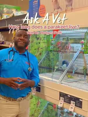 A man in a blue shirt and a stethoscope stands in front of a display case filled with parakeets. Overhead text reads "Ask A Vet".