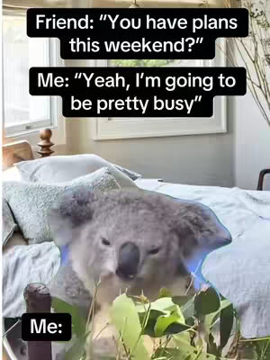 A meme-style image features a koala bear in a bed, with overlaid text presenting a humorous conversation about weekend plans. The composition mainly highlights the koala's face and part of its upper body, with blue highlights around the koala. The background shows a bed with pillows and a window.