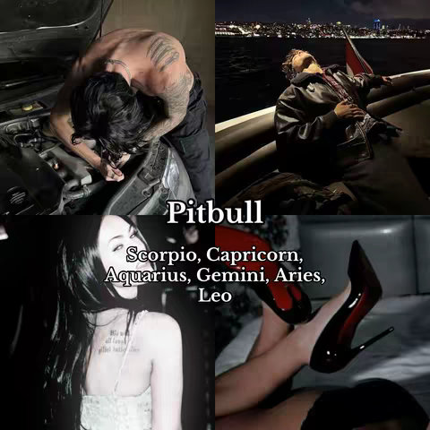 A collage-style image featuring four distinct scenes. In the top left, a person is working on a car engine. The top right image shows a person reclining on a boat at night. The bottom left image shows a woman with long black hair looking back over her shoulder. The bottom right image displays a pair of women’s legs with high-heeled shoes. Overlayed text in the center reads: Pitbull, followed by a list of zodiac signs.