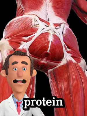 The cover image features a cartoon doctor or character in the foreground, with a 3D, anatomical illustration of muscles in the background to the right. The character is looking forward with an open mouth.