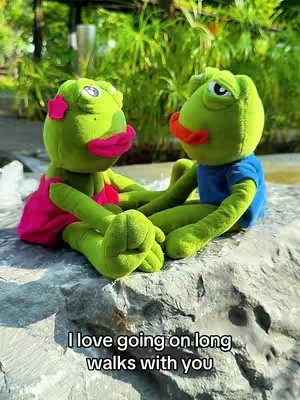 The cover image features two plush frog toys, seated on a large grey rock. One frog has a pink bow, dress and lips, the other frog is wearing a blue T-shirt and has an orange mouth. Behind them, there is foliage.
