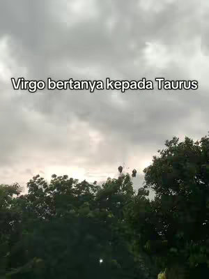 A cloudy sky forms the backdrop for a lush, green treeline in this vertical video still. In the center, the text overlay "Virgo bertanya kepada Taurus" conveys a conversation theme, while the verdant branches below add depth to the scene.