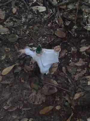 An overhead shot features a small figurine, resembling a ghost or spirit. The figure is on a bed of dried leaves and twigs, with more leaves and bits of vegetation scattered around. The figurine is white, with a green cap. The image has a natural, earthy tone.