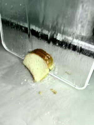 A slice of bread is positioned on a white surface, partially wet with water droplets visible around it. Above the bread, a clear structure, perhaps glass or plastic, is partially seen, with water seemingly running down it. The scene presents a minimalist food composition.