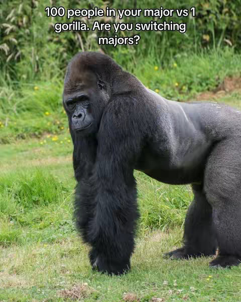 The cover image is a photograph featuring a large gorilla standing in a grassy field. The gorilla is the central focus, positioned slightly to the right of the frame, with a serious and contemplative facial expression. Its dark fur contrasts with the green grass and foliage in the background. Text overlayed on the image asks a question related to the gorilla.