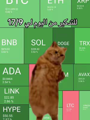 The cover image is a vertical graphic, featuring a grid pattern with blocks of varying green hues, suggesting a financial dashboard. On the top-left section, there is a cryptocurrency ticker display. The main visual element is an image of a standing cat with an inquisitive expression. Text overlayed at the top of the image in Arabic script. The overall style is casual.