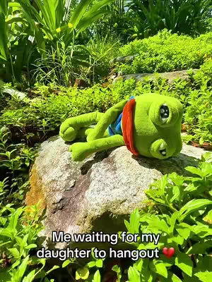 A plush frog sits on a large rock in a lush green environment. The frog is the primary focus, with text overlaid at the bottom of the image.