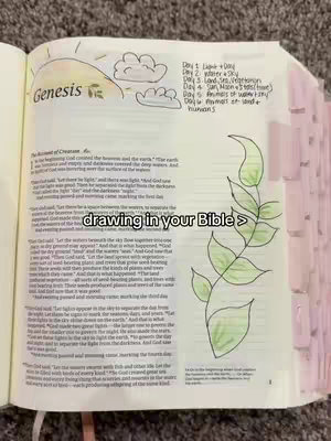 An open bible with a drawing in it. The drawing includes a sun, clouds, a plant, and some text. There are tabs showing to separate the pages. The whole image is on a flat, textured surface.