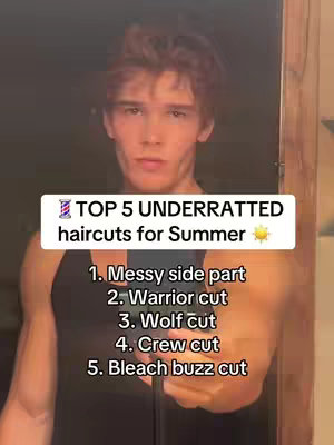 A young man with styled, light brown hair, stands facing the camera against a somewhat dark background. He is centered in the frame, with a overlayed information in a rectangular box.