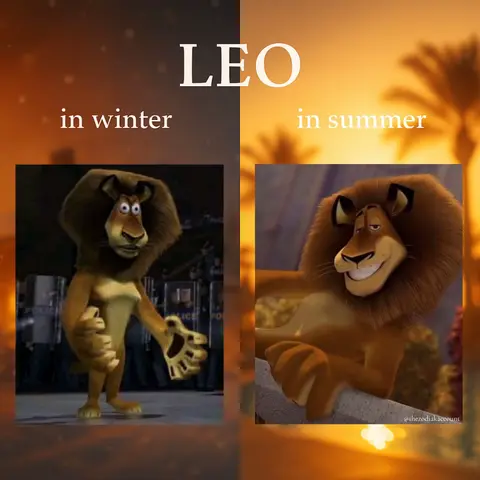 The image presents a split scene comparing two animated versions of Alex the Lion from the Madagascar movies, set against a sunset background. On the left, 'in winter' Alex is depicted with a bewildered expression and is set against an urban background. On the right, labeled 'in summer', Alex has a relaxed pose with a smiling, content expression, set against a tropical style background.