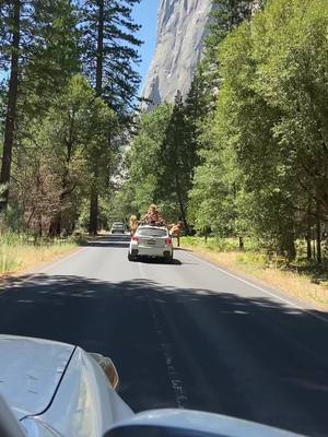 The perspective is from inside a car, looking down a road in a national park. The road is a light gray, and the surrounding trees and foliage are bright green. A white SUV is in front of the camera car with people sitting on its roof. In the background is a large gray rock face reaching toward the sky.