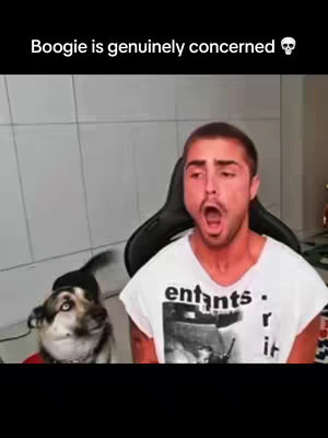 A man with short brown hair and a white t-shirt with black text is looking at something off-screen with a shocked expression, mouth wide open. A dog with black and gray fur looks toward the man with a concerned expression to the man's left. The background is plain, with a wall and the corner of a desk visible.