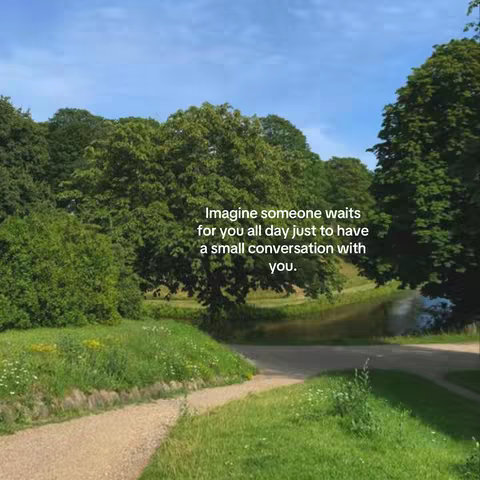 A scenic shot of a park scene with a path cutting through the frame, leading towards a body of water. Lush green trees and grass fill the spaces, and the sky is a clear blue. Text overlays are present.