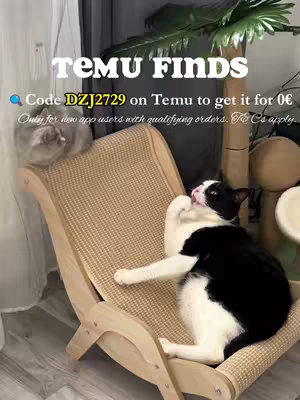 The cover image features two cats, one sitting and the other lying down. The cat on the left, a gray and white cat, sits on a hammock that is on a wooden frame. The cat on the right is black and white, looking content as it lies on the hammock. Text overlays include the brand TEMU, the phrase 'TEMU FINDS', and promotional text with a discount code for the app.