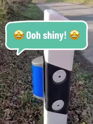 The image shows a view of what appears to be a street or roadside, with a metal post on the right side of the frame. A speech bubble with the text 'Ooh shiny!' is overlaid, centered above the post with two laughing face emojis.
