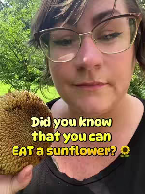A woman with glasses holds a large sunflower head in front of her. Bold yellow text overlays the image with a question-and-answer format.