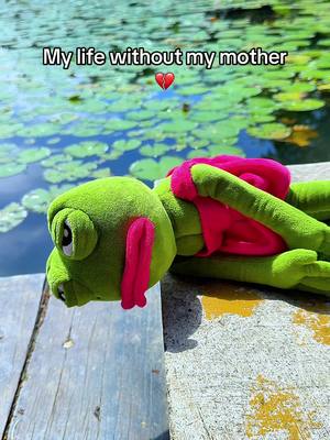 The image shows a plush frog toy lying on a wooden surface next to a body of water. The frog is green with pink accents, positioned as if resting or sad. Text overlays the image, and the background features lily pads.