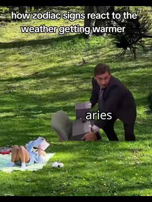 The cover image shows a meme related to astrology. In the image, there's a man in a suit, seemingly comically chasing someone. The text overlayed on the man is "aries". In the background, there's a woman relaxing on a blanket, reading a book.