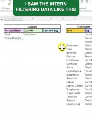 The cover image displays a screenshot of an Excel spreadsheet. A green banner at the top says 'I SAW THE INTERN FILTERING DATA LIKE THIS.' The spreadsheet has columns titled 'Personal Item', 'Carry On', 'Checked Bag', 'Item', and 'Packing List'. The layout suggests a tutorial or demonstration of using Excel filters.