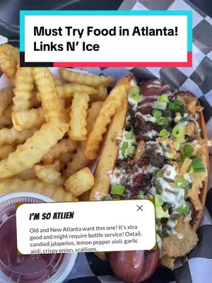 The cover image is a close-up shot of a hot dog and fries, likely from the featured restaurant. The hot dog sits in a bun, covered in various toppings and sauces, indicating a gourmet style. Crinkle-cut fries and a small cup of sauce are present. The overall color palette is dominated by warm tones from the food, against a background that looks like a checkered pattern. There is a overlaid text box.