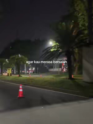 A nighttime street scene with palm trees and streetlights. The road is dark, and there are safety cones. Text hovers over the scene.