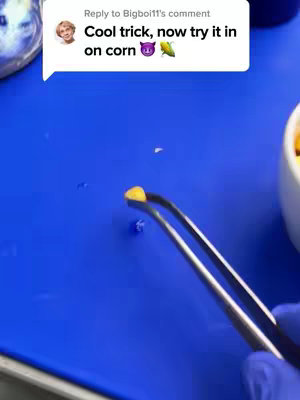 The image shows a blue surface with corn kernels and a pair of tweezers holding one kernel. In the top left, a comment bubble displays text and a profile picture. A small bowl is on the right side, partially filled with corn.