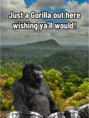 The cover image features an anthropomorphic gorilla seemingly playing the drums in front of a scenic backdrop. Above the gorilla are the words "Just a Gorilla out here wishing ya'll would!" The background shows a lush green forest and hills, with a bright sky filled with clouds at the very top. The gorilla is black and the drums are metallic.