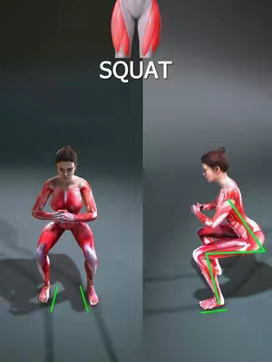 The image is a split screen showcasing workout figures and diagrams. The upper section on the middle-top shows a diagram of the leg muscles with the word "SQUAT" in large, white, sans-serif font. The bottom left displays a forward-facing render of a female figure in a squat pose, shaded red to show muscle activity with green highlighting on the feet, suggesting the position of the feet. The right side shows a side view of the same figure in a squat position, showing the green and muscle highlighting.
