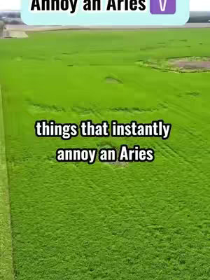 An aerial view of a vast green field with a text overlay. The field takes up most of the frame, with a light blue text box at the top left and another white text box in the middle of the image. The sky is visible at the top.