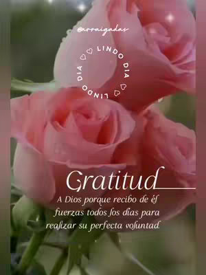 The image features two large, pink roses in full bloom, with soft, out-of-focus foliage in the background. A circular text overlay with the words "DIA LINDO DIA" encircles the roses. The word "Gratitud" is prominently displayed in a cursive font over a white underline, with additional text below detailing, "A Dios porque recibo de éf fuerzas todos los días para realizar su perfecta voluntad"