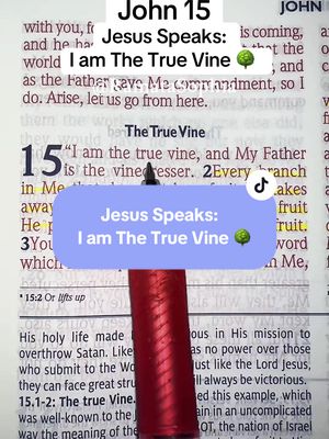The image displays an open book with text from John 15:  The phrase 'Jesus Speaks: I am The True Vine'  is overlaid with a decorative box surrounding it. A red pen partially obstructs the text at the bottom. The background is the Bible's text, showing several lines of the passage. Colors are muted, with a focus on the text and a pop of red from the marker.