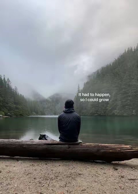 A tranquil landscape with a lake surrounded by trees and mountains. A person is seated on a log in the foreground, facing away from the camera, and the overall tone is somber, with a text overlay providing a message.