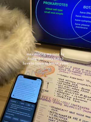 The image shows a smartphone displaying a document and a whiteboard with text of the terms as well as a furry element on the top left of the images, a monitor with a diagram behind the document, and handwritten notes on a desk, all suggesting a study environment.