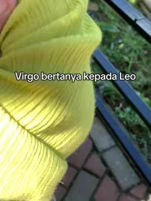A close-up shot featuring the top of a yellow crumpled fabric, with a hint of what appears to be a green leafy background along a black metal bar. The text overlay 'Virgo bertanya kepada Leo' in white is visible on the center-left of the image.