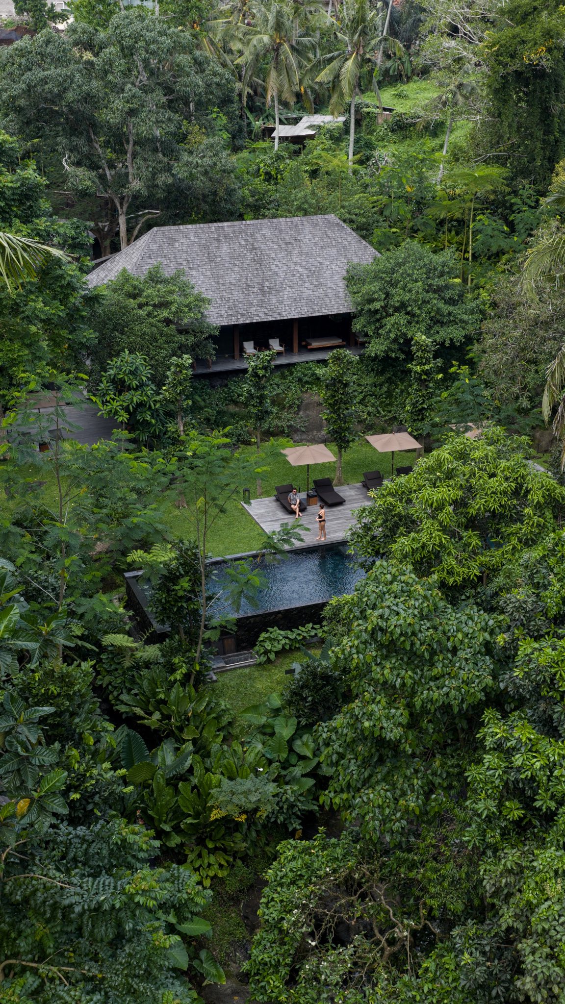 An aerial view of a luxurious resort nestled within a lush, green tropical environment. A multi-level wooden structure with a gray shingled roof stands prominently, surrounded by dense foliage, including tall trees and various tropical plants. A rectangular pool is visible with two people sitting on lounge chairs under umbrellas on the wooden deck. The overall scene evokes a sense of tranquility and escape.