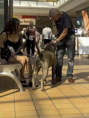 The cover image shows a scene at a shopping mall. A woman with dark hair, tattoos, and a black top is seated on a bench, interacting with a dog that is being petted by a man. Background elements include other people, shops, and a bright, well-lit mall atmosphere.