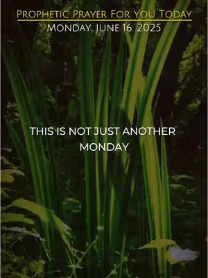 The image is a vertical composition with a dark background, possibly a garden scene with lush green foliage. Two lines of text in a light color are near the top, with the date in the middle. In the foreground, close-up vegetation, including tall, slender green leaves with a few yellow-green stripes, is prominent. Beneath, there is a text in white.