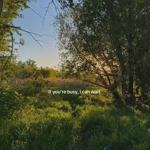 A scenic view of a natural setting with lush green grass and trees, bathed in sunlight. A text overlay adds a romantic message.