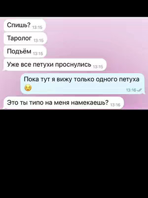 The cover image shows a screenshot of a messaging app with a pink background. The conversation includes messages like 'Спишь?' and 'Уже все петухи проснулись', revealing text exchanges. The layout features rounded message bubbles with timestamps. Overall, it has a clean and simple aesthetic.