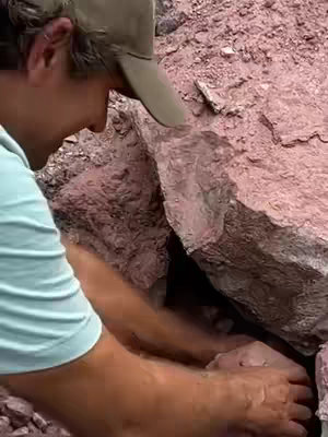 A man is reaching into a crevice in reddish-brown rock, likely examining or retrieving something. The man is wearing a baseball cap and light blue shirt.