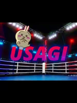The cover image depicts a boxing ring with the word "USAGI" in large, colorful text at the center. Above the text is a cartoon character resembling a rabbit with a sad expression. The background includes spotlights and a blurred image of a crowd, suggesting a boxing event.