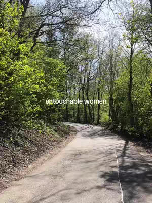 A sunlit path curves through a dense forest, with vibrant green foliage on either side and sky peeking through the trees. The road's asphalt contrasts with the natural surroundings.