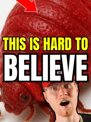 The cover image features a macro shot of a large, red, rounded insect, with a man in the bottom right corner. The man is looking at the viewer with a surprised expression, mouth open. Text overlays read: "THIS IS HARD TO BELIEVE" in large white text with a black outline. Above the insect a red arrow. The overall composition is designed to grab attention with a combination of intriguing imagery and surprising facial expressions.